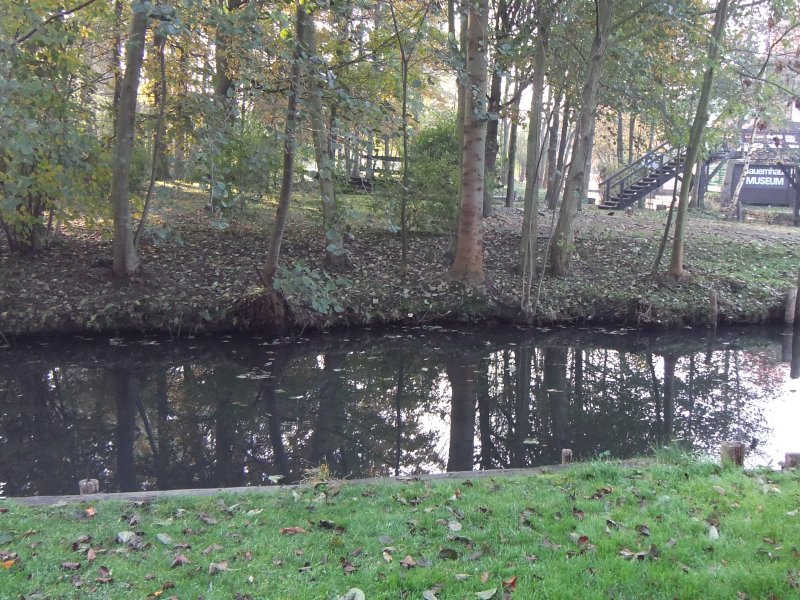 /bilder/lehde11/DSCF5459.JPG