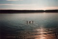 /bilder/sl1997/bild0013.jpg