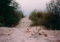 /bilder/sl1998/bild0005.jpg