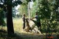/bilder/sl2008/006DSC04726.jpg