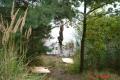 /bilder/sl2008/032DSC04770.jpg