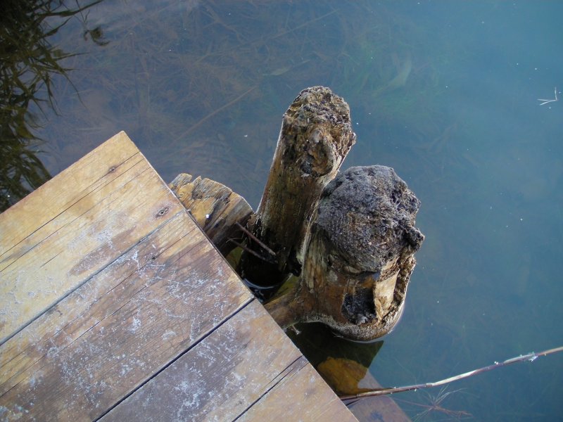 /bilder/sl2011/bild_102.jpg