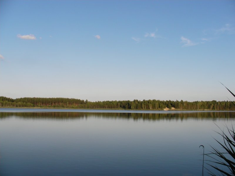 /bilder/sl2011/bild_103.jpg