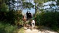 /bilder/sl2012/bild0140.jpg