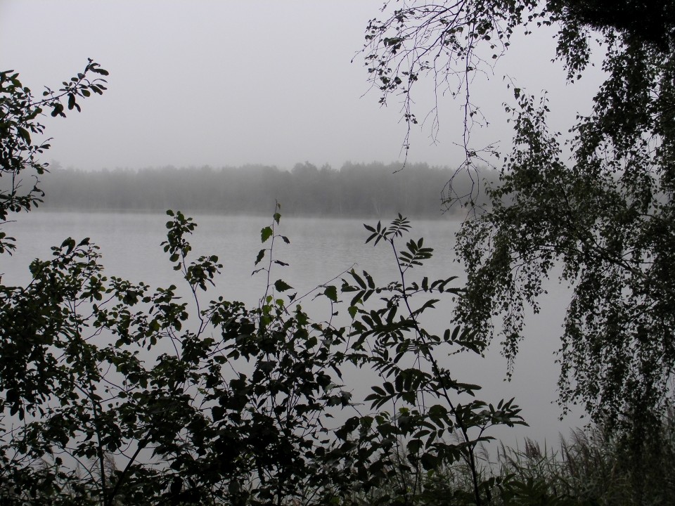 /bilder/sl2015/bild122.jpg