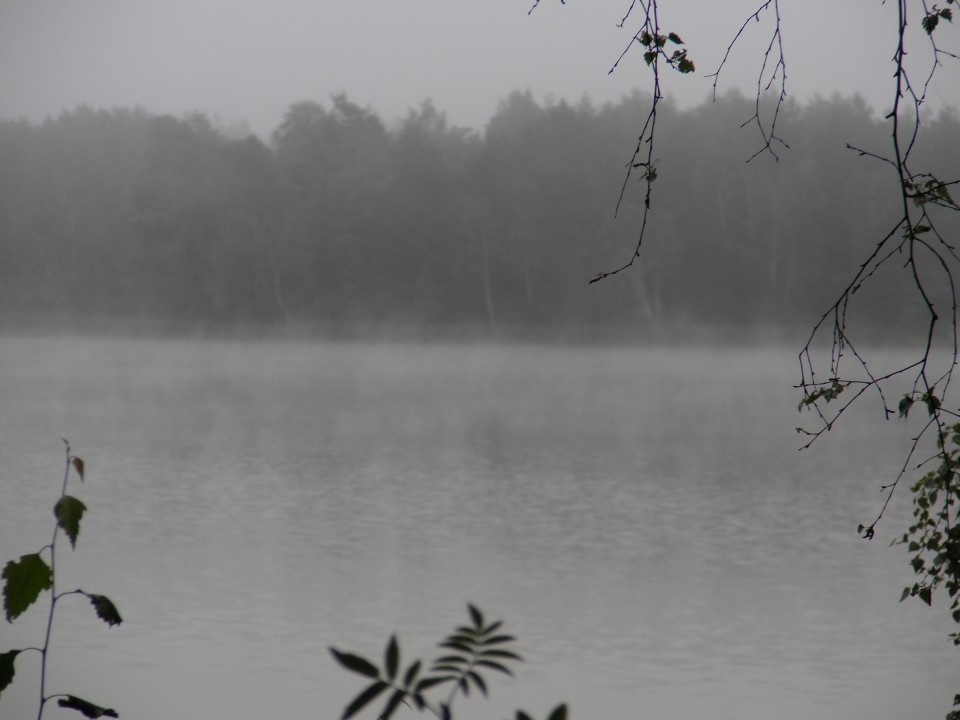 /bilder/sl2015/bild126.jpg
