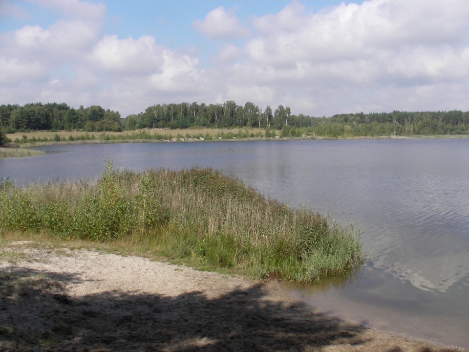 /bilder/sl2015/bild139.jpg