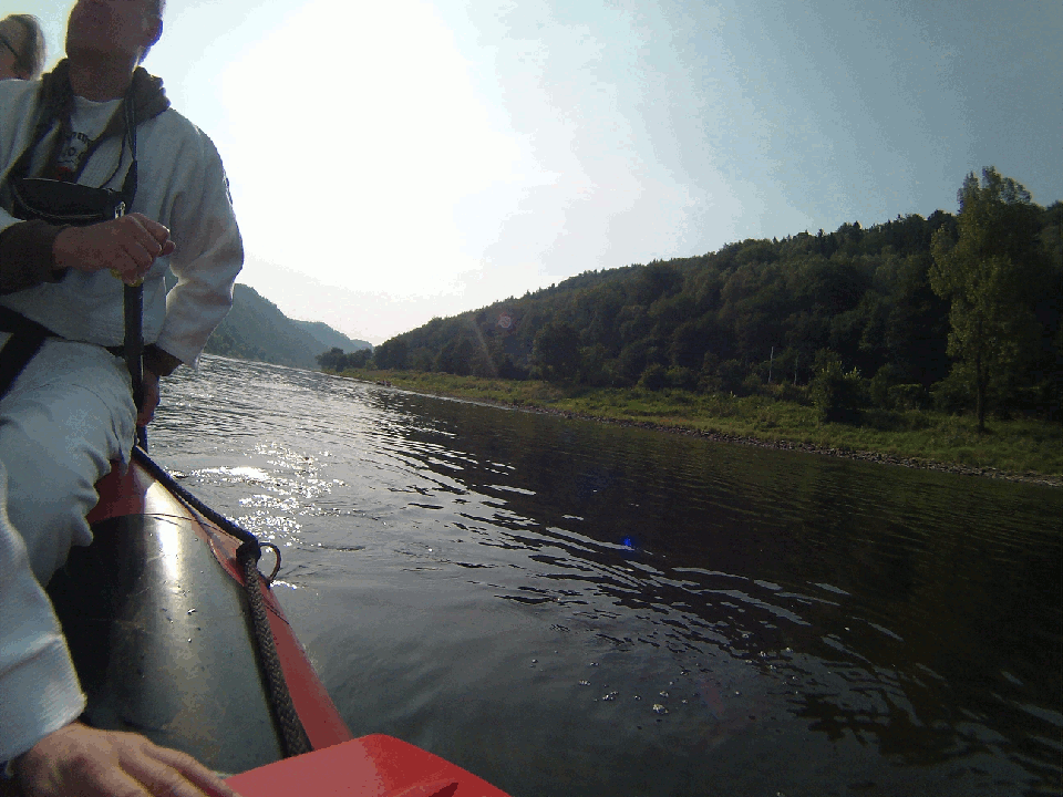 /bilder/sl2016/bild2400.gif