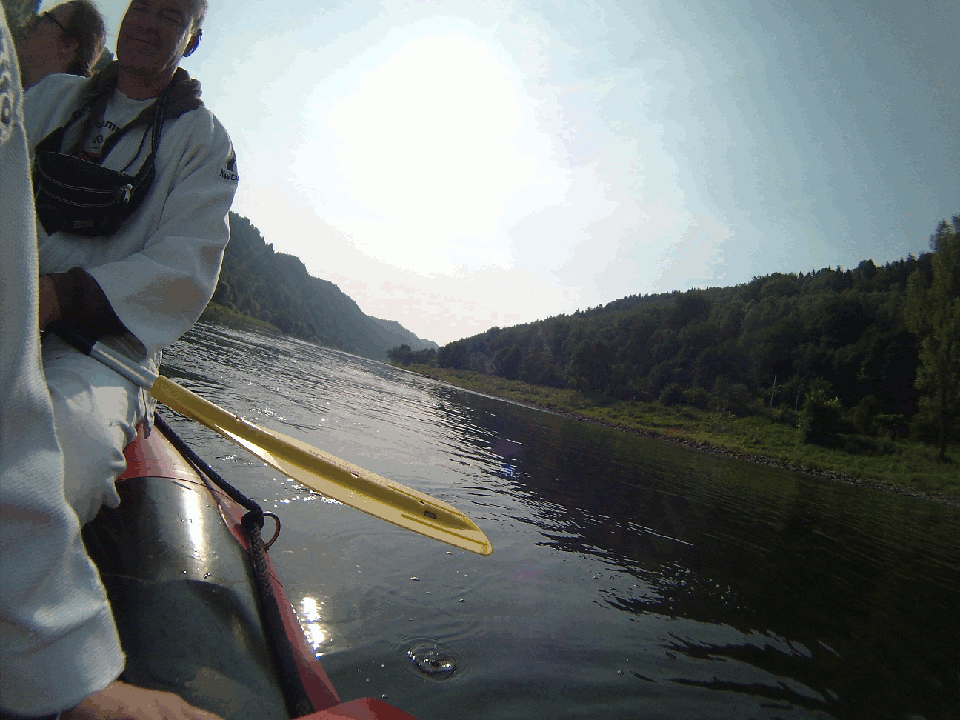 /bilder/sl2016/bild2500.gif