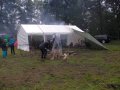 /bilder/sl2017/bild022.jpg