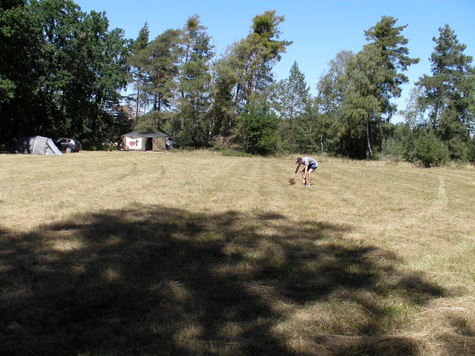 /bilder/sl2020/Bild120.jpg