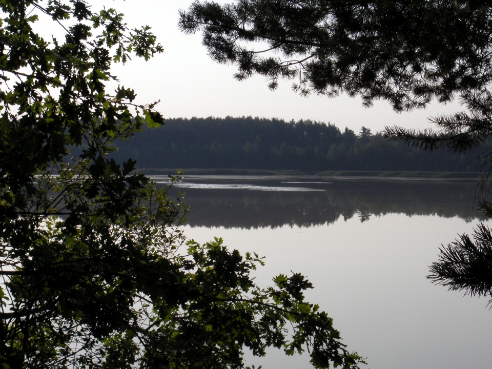 /bilder/sl2020/Bild135.jpg