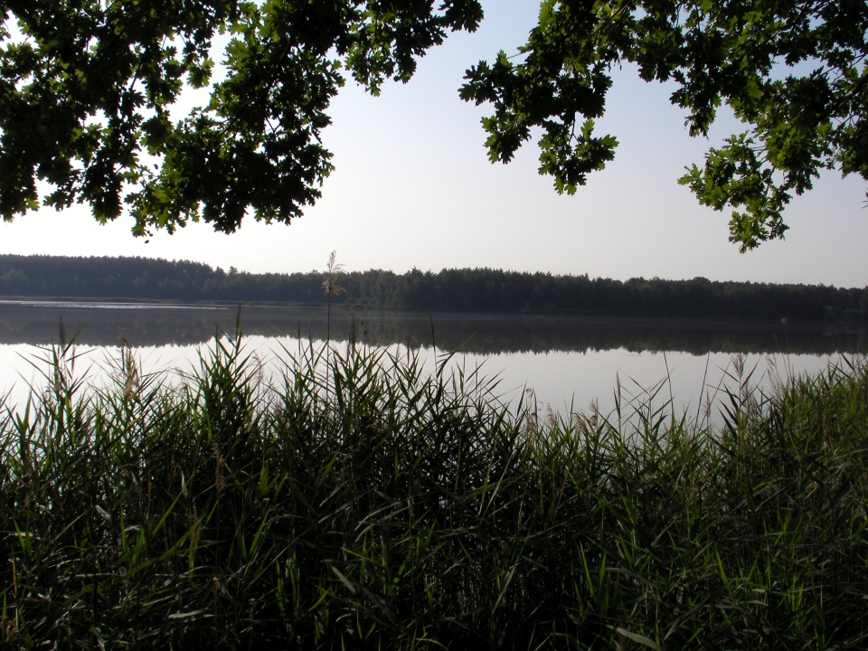 /bilder/sl2020/Bild137.jpg