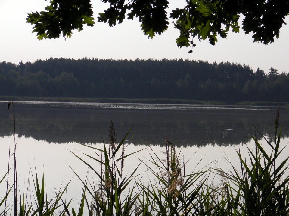 /bilder/sl2020/Bild138.jpg