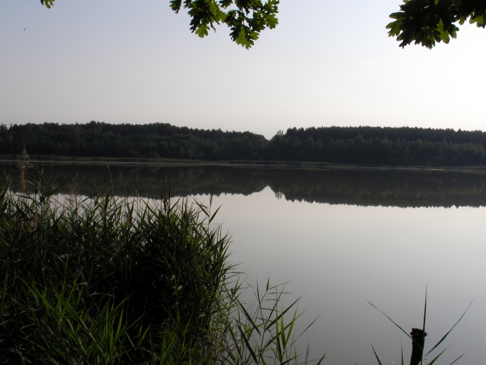 /bilder/sl2020/Bild139.jpg