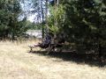 /bilder/sl2020/Bild118.jpg