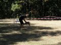 /bilder/sl2020/Bild121.jpg