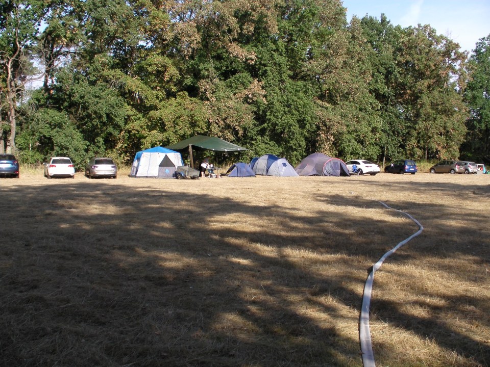 /bilder/sl2022/Bild110.jpg