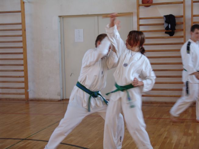 /bilder/tkd07/bild03.jpg