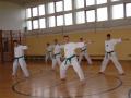 /bilder/tkdherbst08/034.jpg
